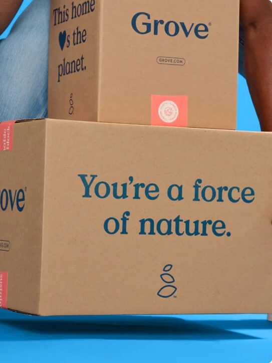 Person in jeans and blue sneakers holds two cardboard boxes labeled "Grove" against a blue background.