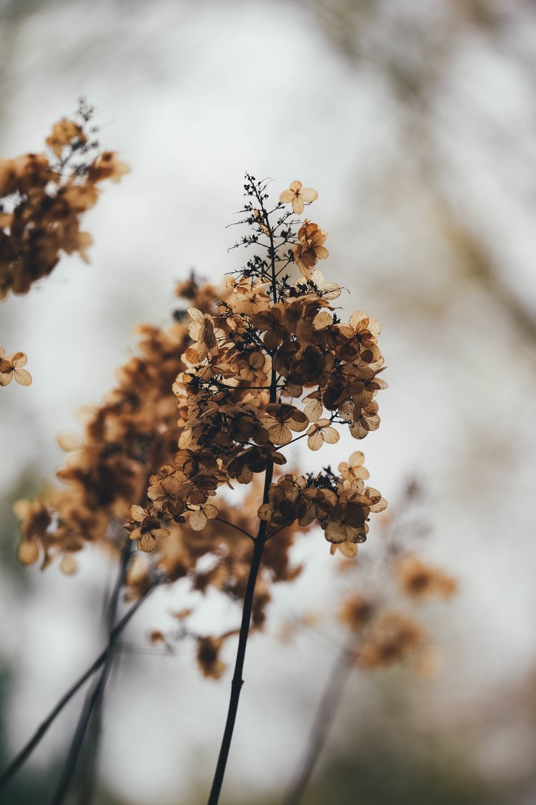 attachment-61de2dc1bceeae391e9fbf9c