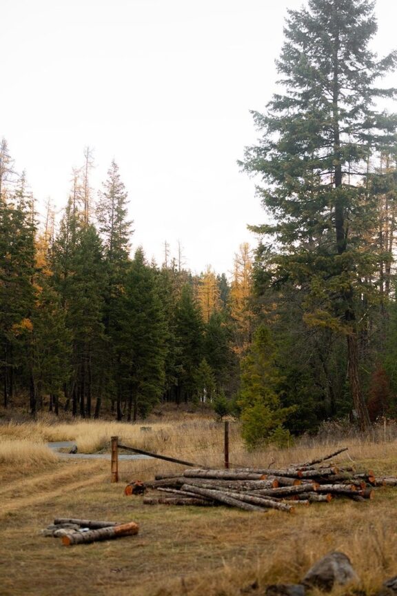 attachment-61de09c4c4d82c6d0527d5aa