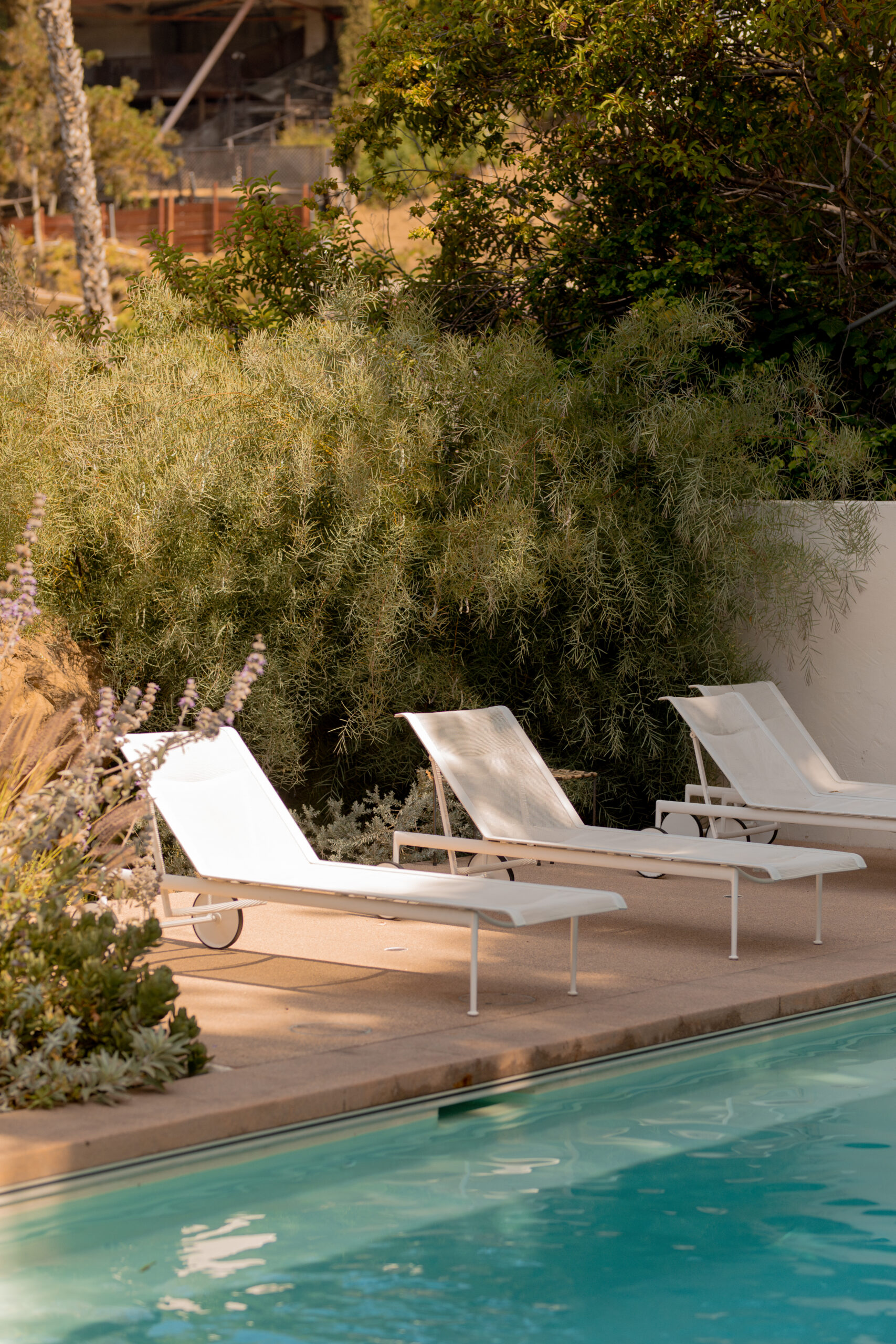 labor-day-sales-header