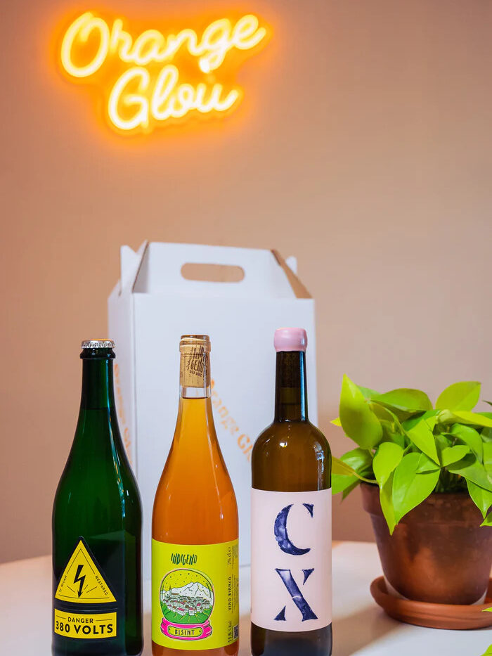 Three orange wines in front of a carrying cardboard box and potted plant.