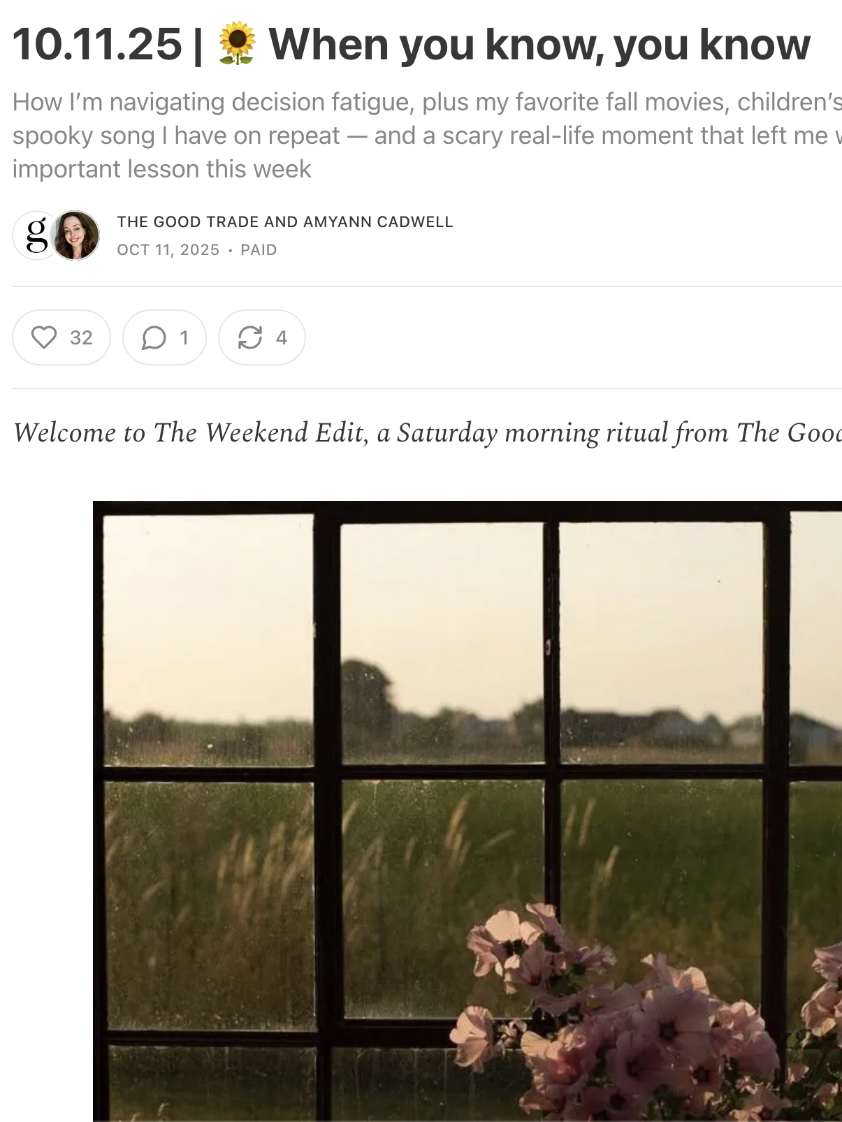 A window with raindrops and pink flowers on the sill, photographed from indoors with soft morning light.